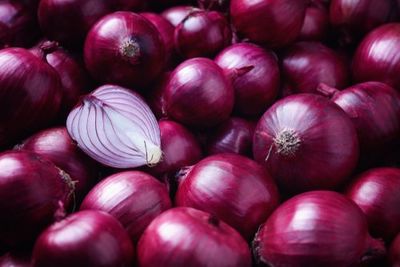 Organik Kırmızı Soğan (500 gr)
