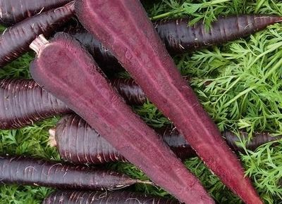 Organik Mor Havuç (500 gr)